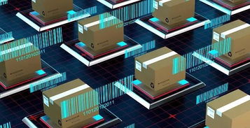 马云畅谈“她时代” 下辈子愿为女性，见证纺织原料销售新篇章